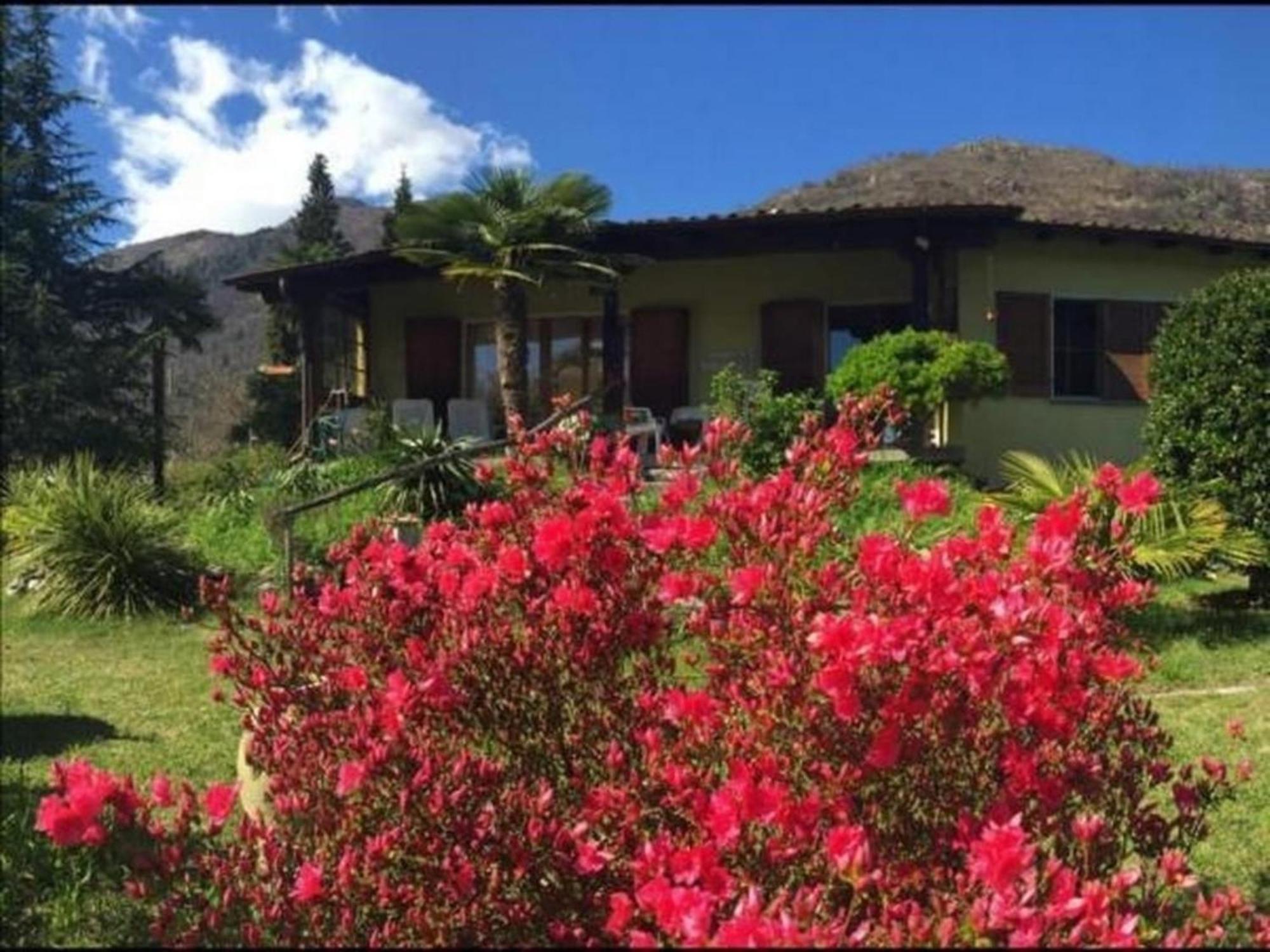 """Casa Elena -Tegna"" Die Ruheoase In Grossem Garten" Exterior foto